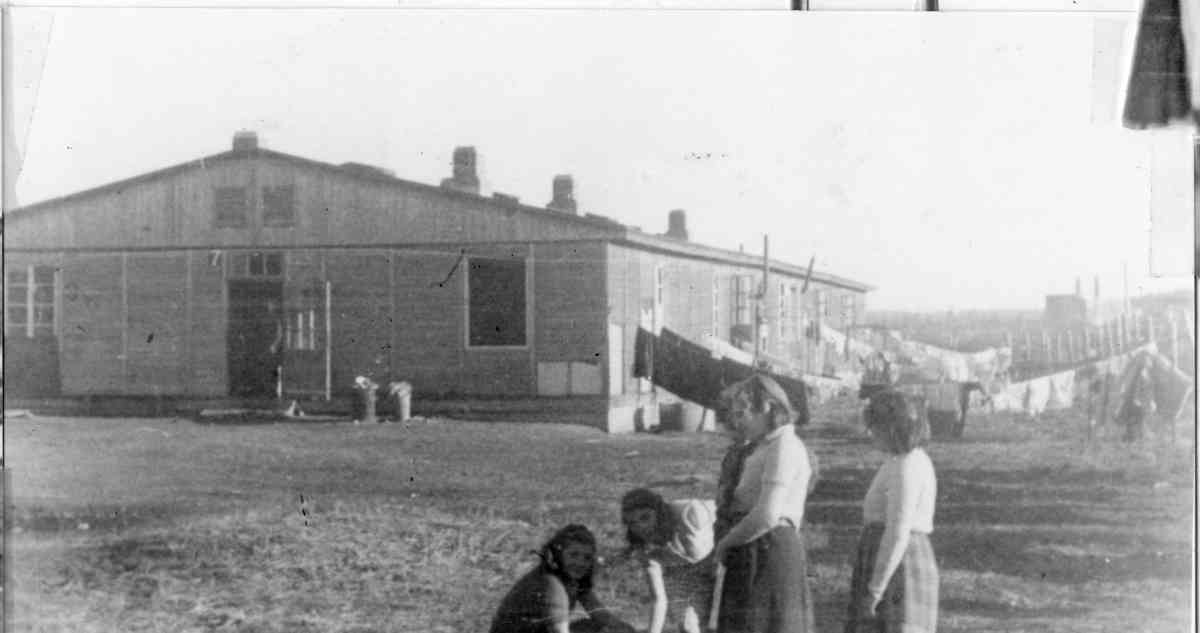 שגרה במחנות