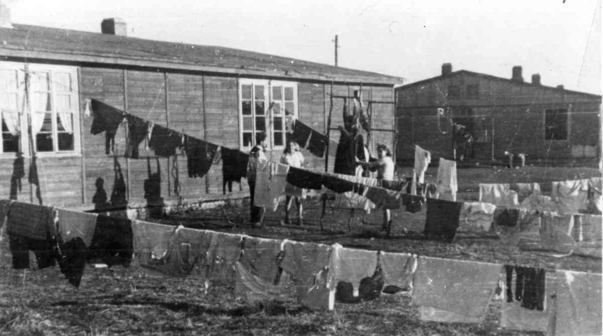 שגרה במחנות