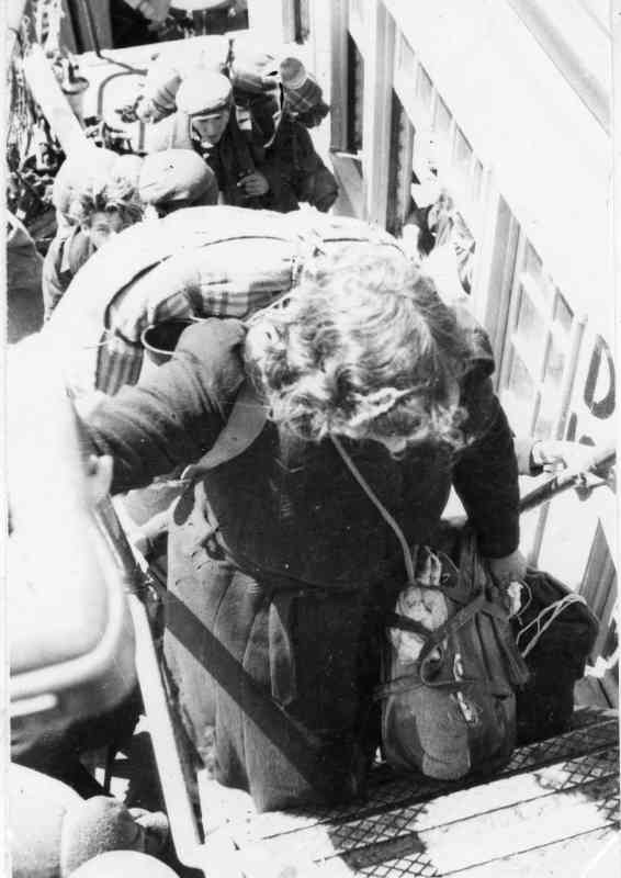 ספרים רבים נכתבו על פרשת אקסודוס