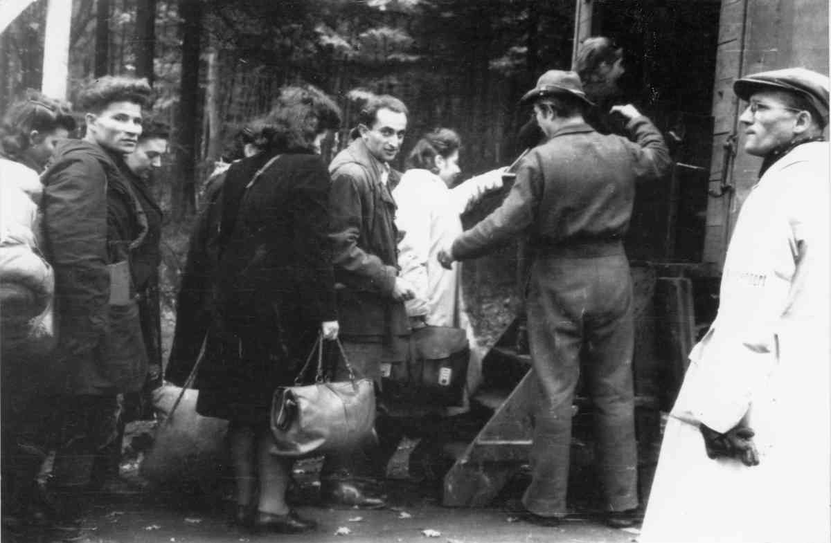 מעפילי אקסודוס מגיעים למחנה עצורים בגרמניה