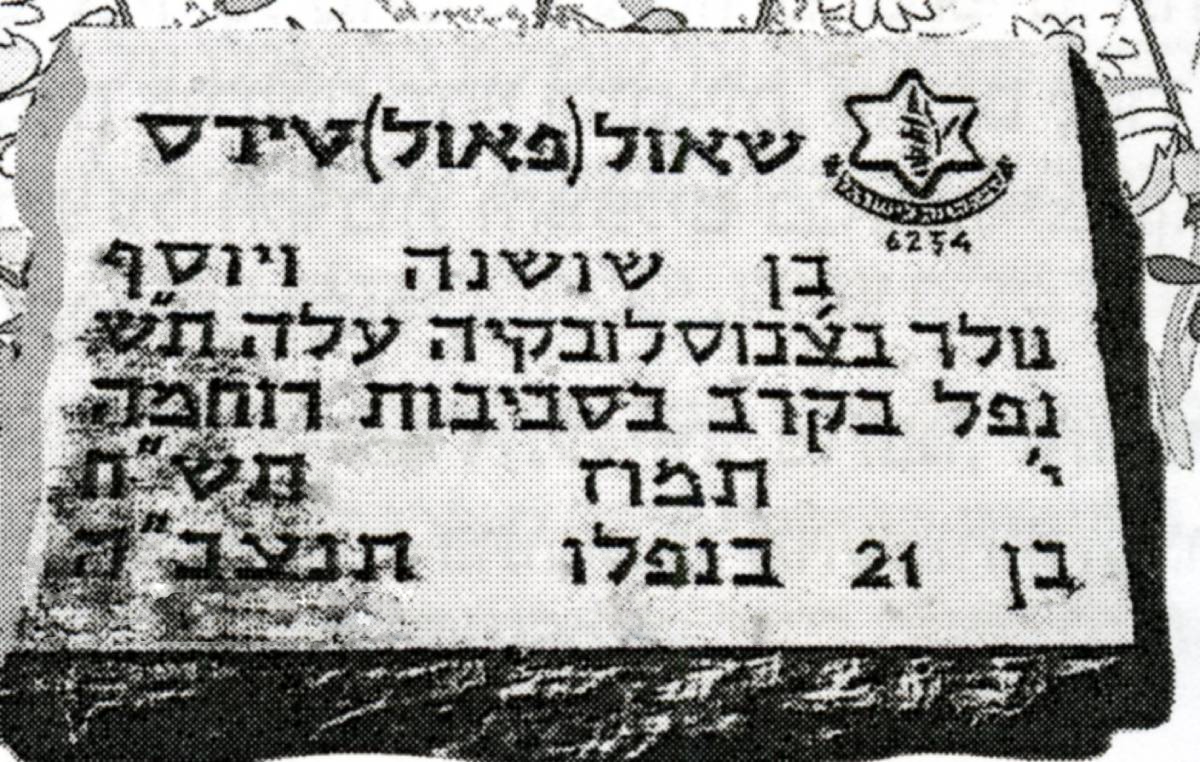 כרית הקבר של שאול טירס תמונה