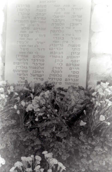 לוח השמות באנדרטה בביר עסלוג' תמונה