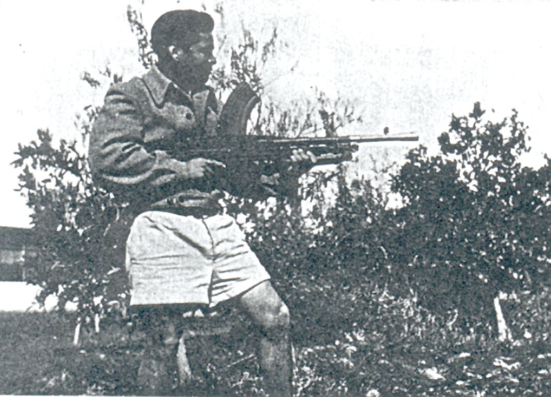תמונה
