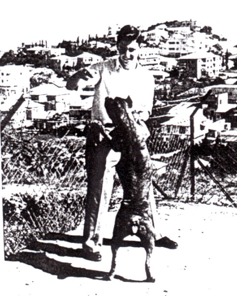 תמונה