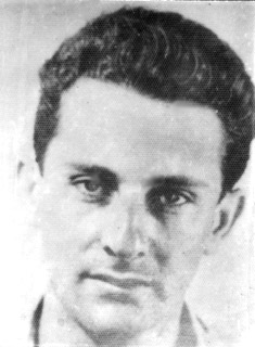 שמעון אילון פספורט Image
