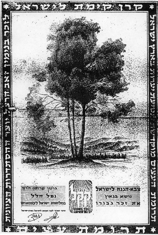 תעודת תרומת עצים על שמו תמונה