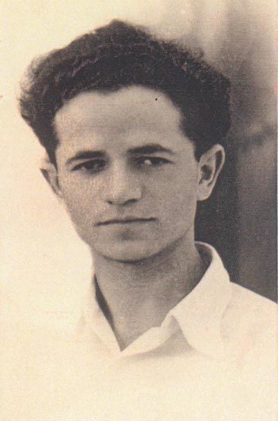 תמונה