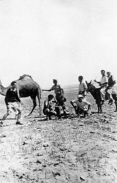 תמונה