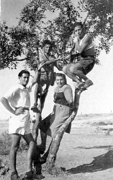 תמונה