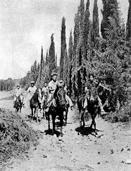 בניה על סוסו במקוה ישראל (ראשון משמאל) תמונה
