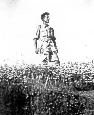 תמונה