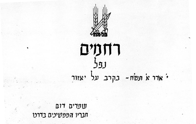 תעודת נפילה תמונה