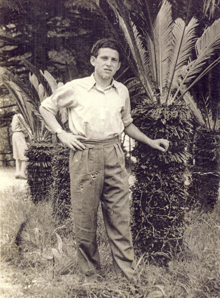 משה בארץ ישראל תמונה