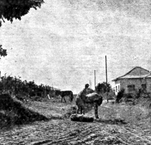 במושב חרות (1945) תמונה