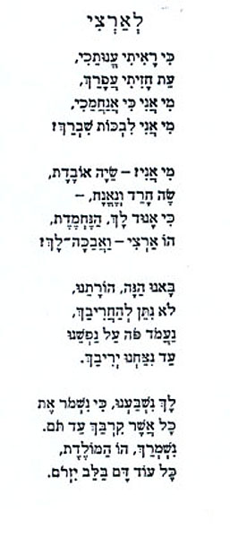 תמונה