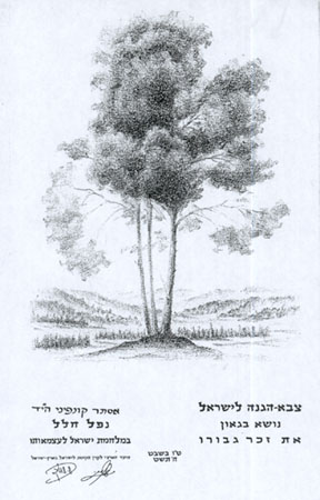 הנצחתה תמונה