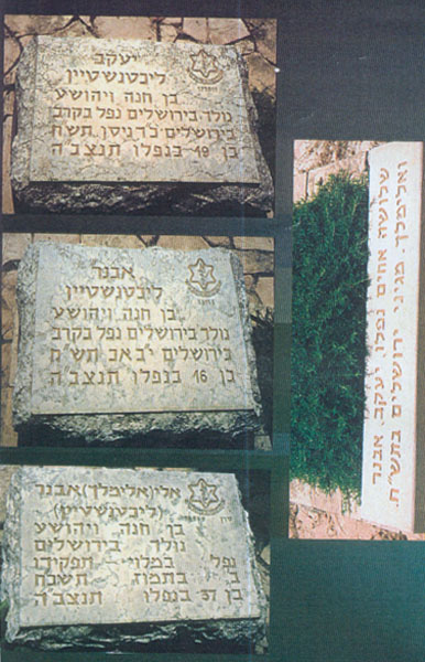 שלושת המצבות של האחים ליכטנשטיין, אשר נפלו בקרבות תמונה