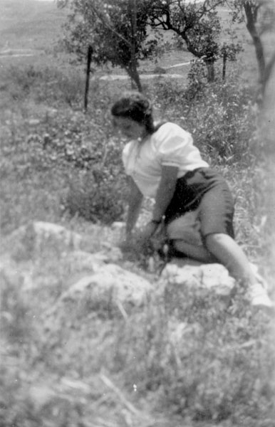 תמונה