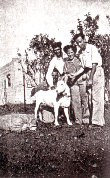 תמונה