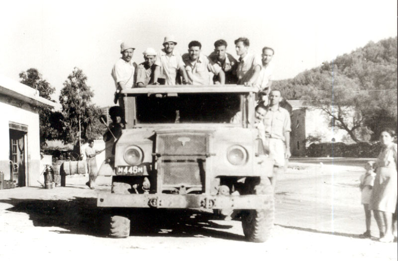נבחרת כדור עף תמונה