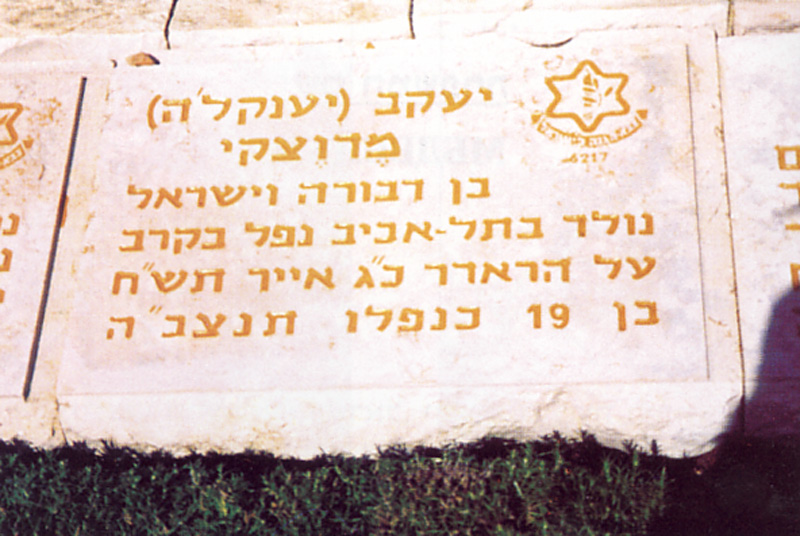 תמונה