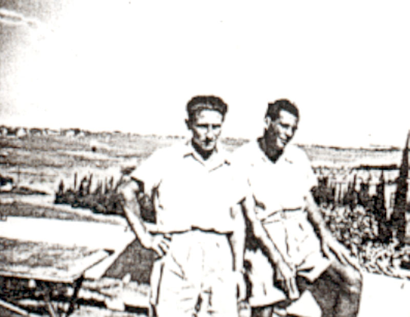תמונה