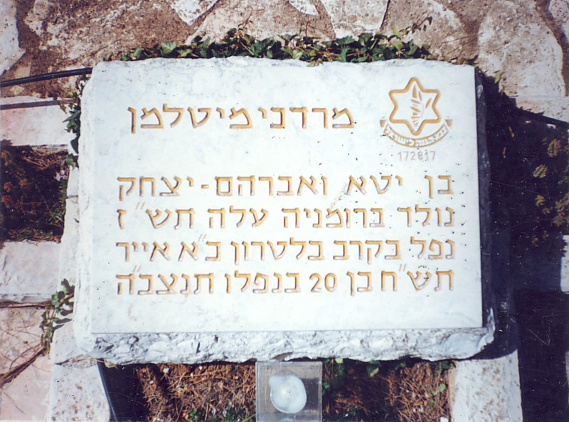 קברו בהר הרצל תמונה