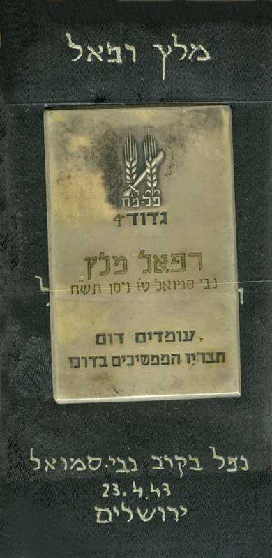 דיסקית זיכרון אשר נמסרה לבני המשפחה לאחר נפילתו של רפי תמונה