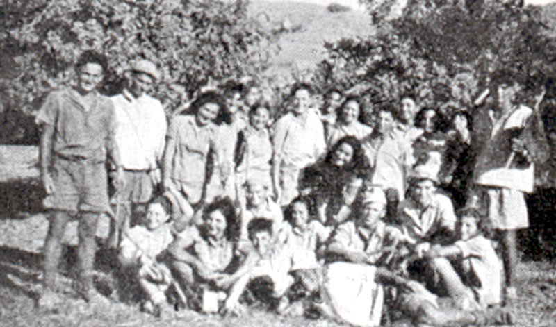 תמונה