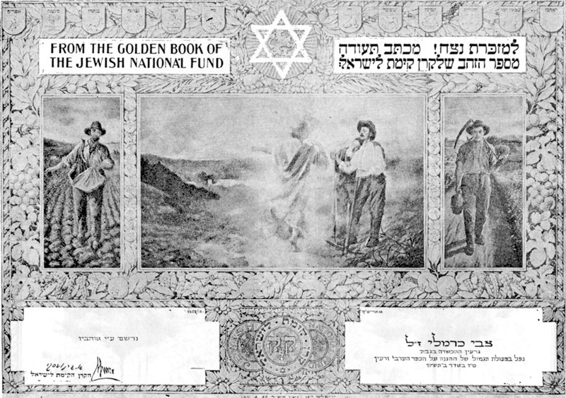 תמונה