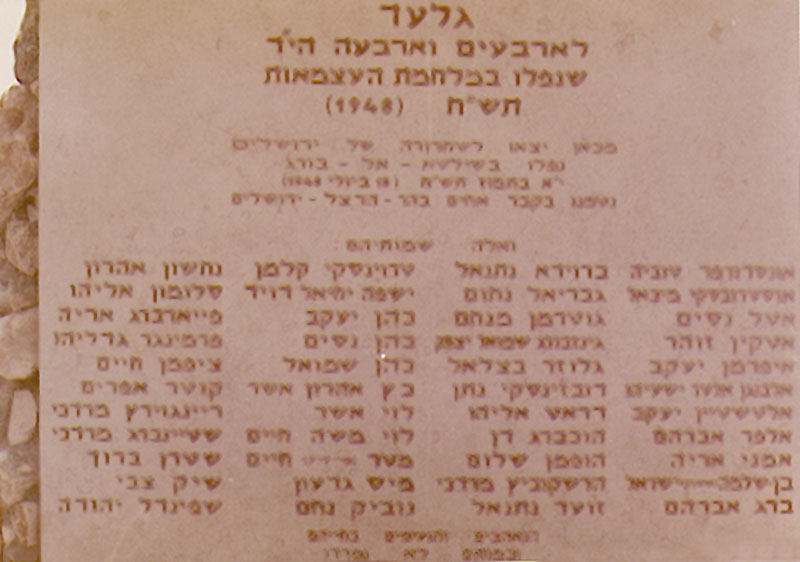 גלעד תמונה