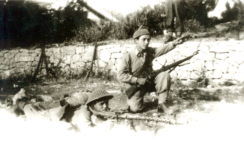 דוד שטרן (שוכב) תמונה