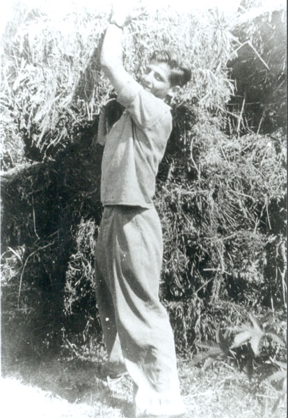  תמונה