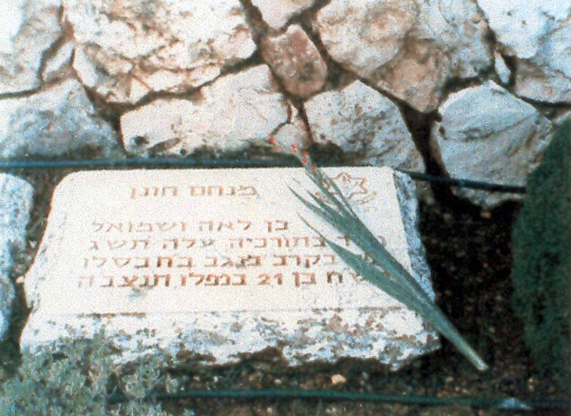 מצבתו של מנחם חונן ז"ל תמונה