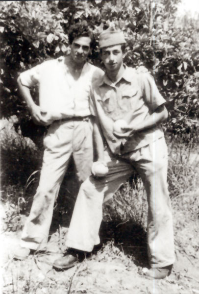 תמונה