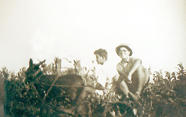 יהושע נוהג בחמור, 1942 תמונה