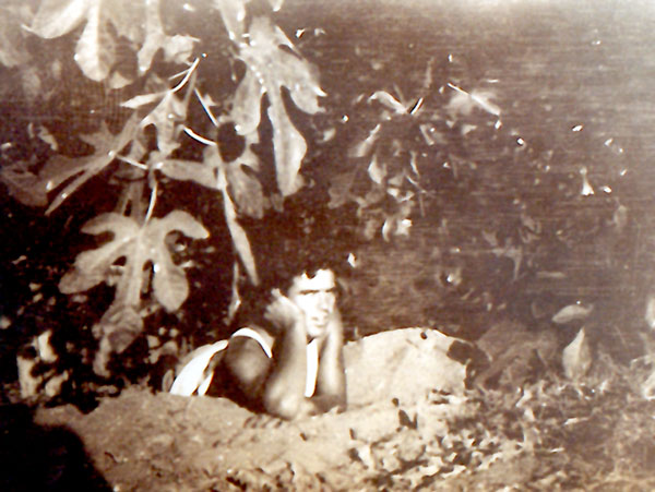 תחת עץ התאנה שבחצר, 1941 תמונה