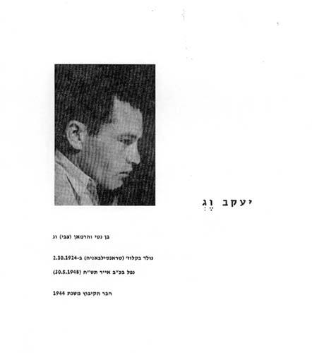 תמונה