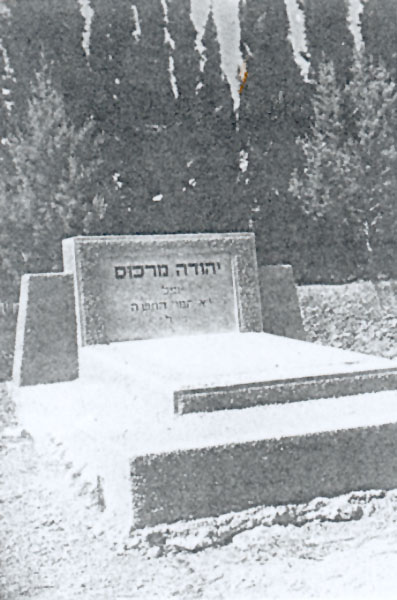 מצבתו תמונה