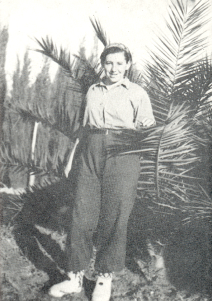 תמונה