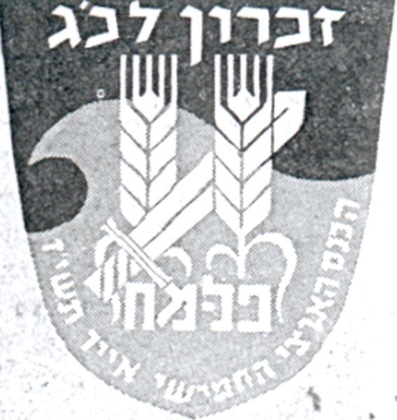 תמונה