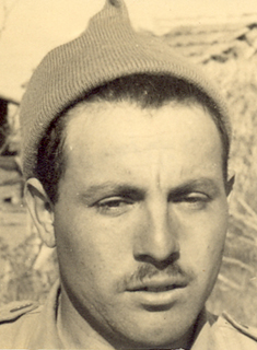 3 תמונה