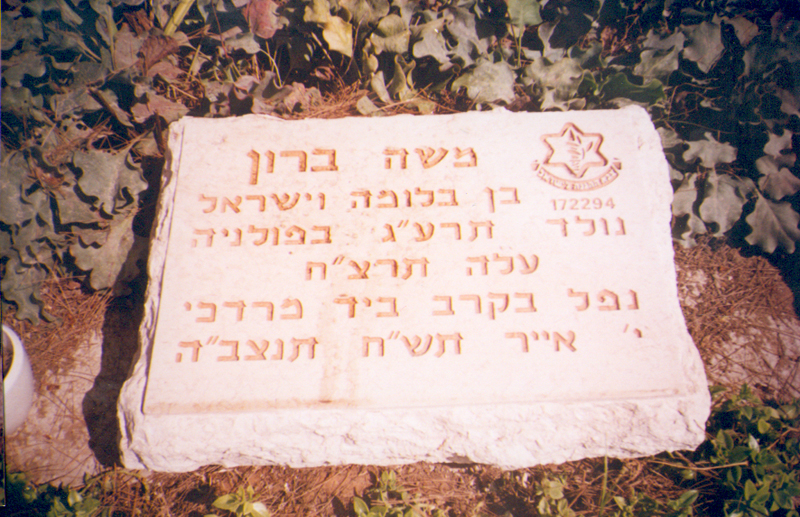 תמונה