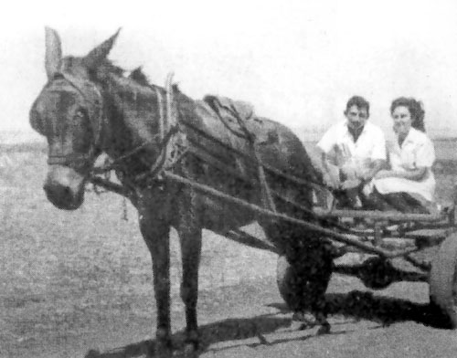 תמונתם האחרונה של עלי ופנינה, שעמדו להינשא תמונה