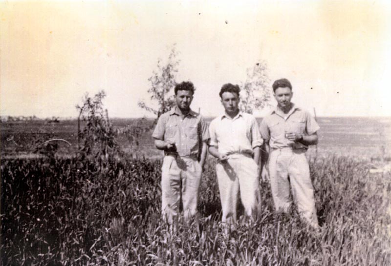 האחים גרינברג - בית אשל תמונה
