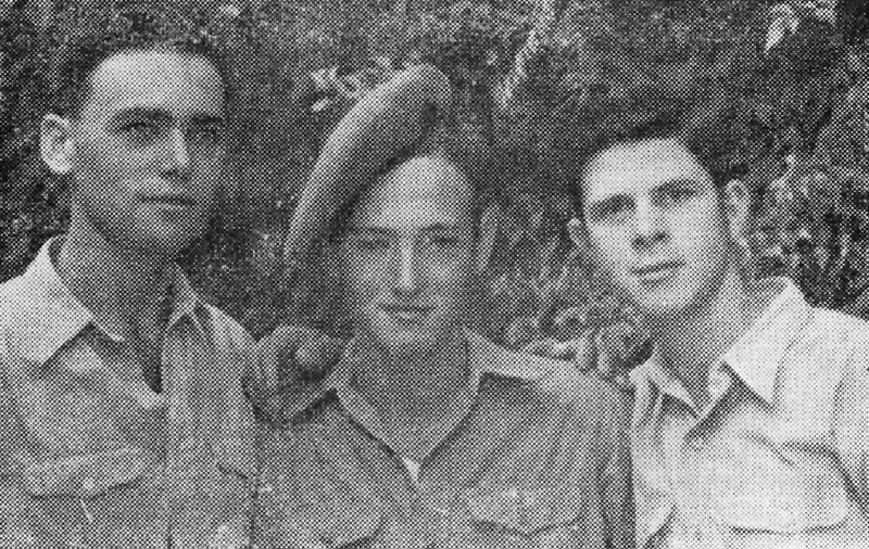  תמונה