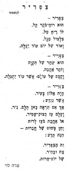 שיר לזכרו תמונה