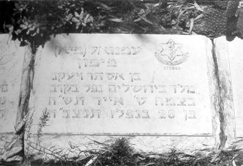  תמונה