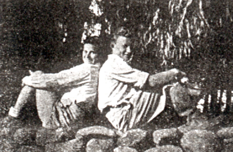 תמונה