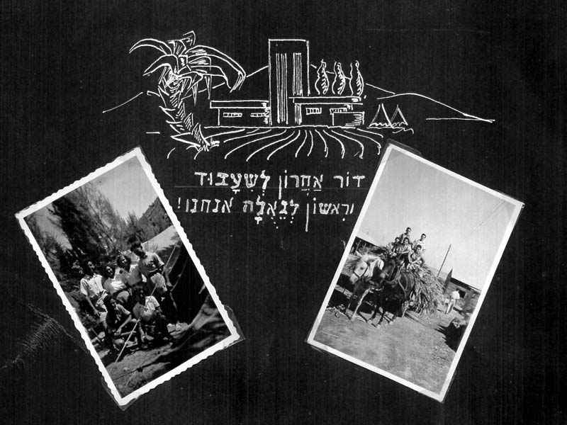 תמונה